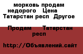 морковь продам  недорого › Цена ­ 29 - Татарстан респ. Другое » Продам   . Татарстан респ.